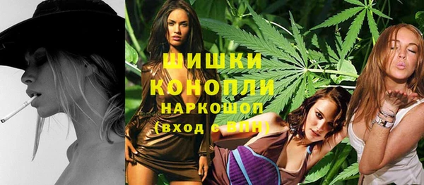 spice Краснослободск