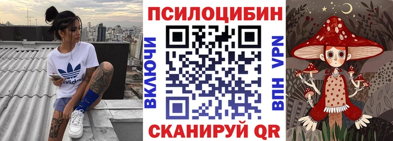 Псилоцибиновые грибы мицелий  закладка  Шахунья 